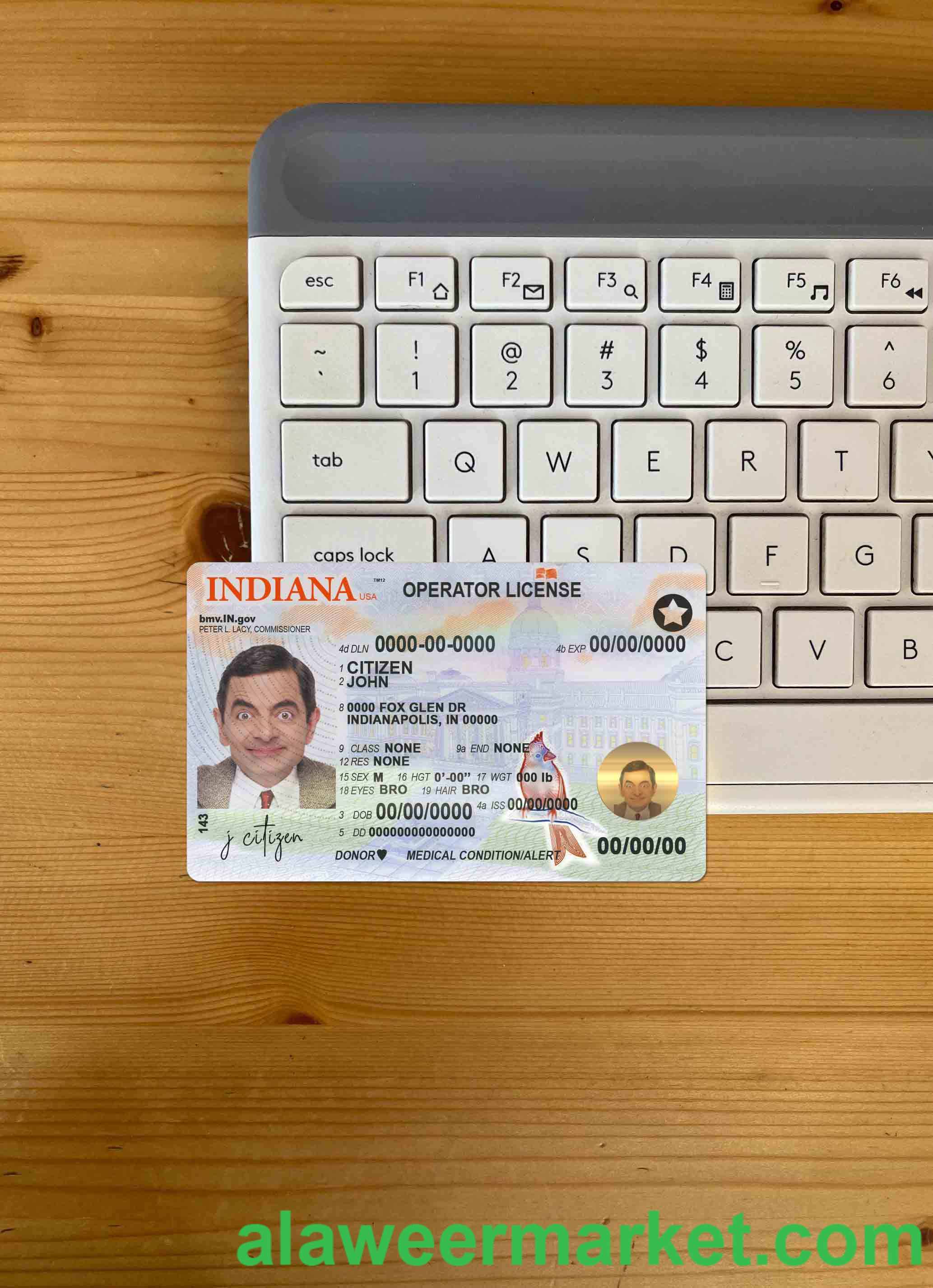USA Indiana driving (operator) license template in PSD format (2019 – present) photolook FRONT